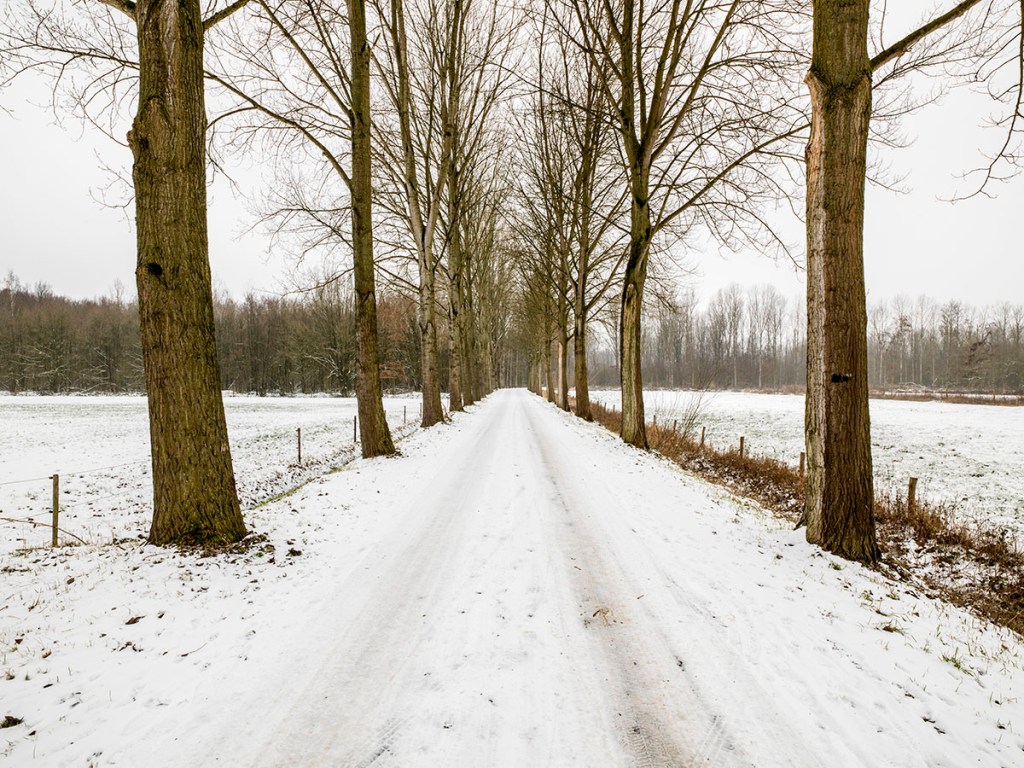 Nuenen Landschaft